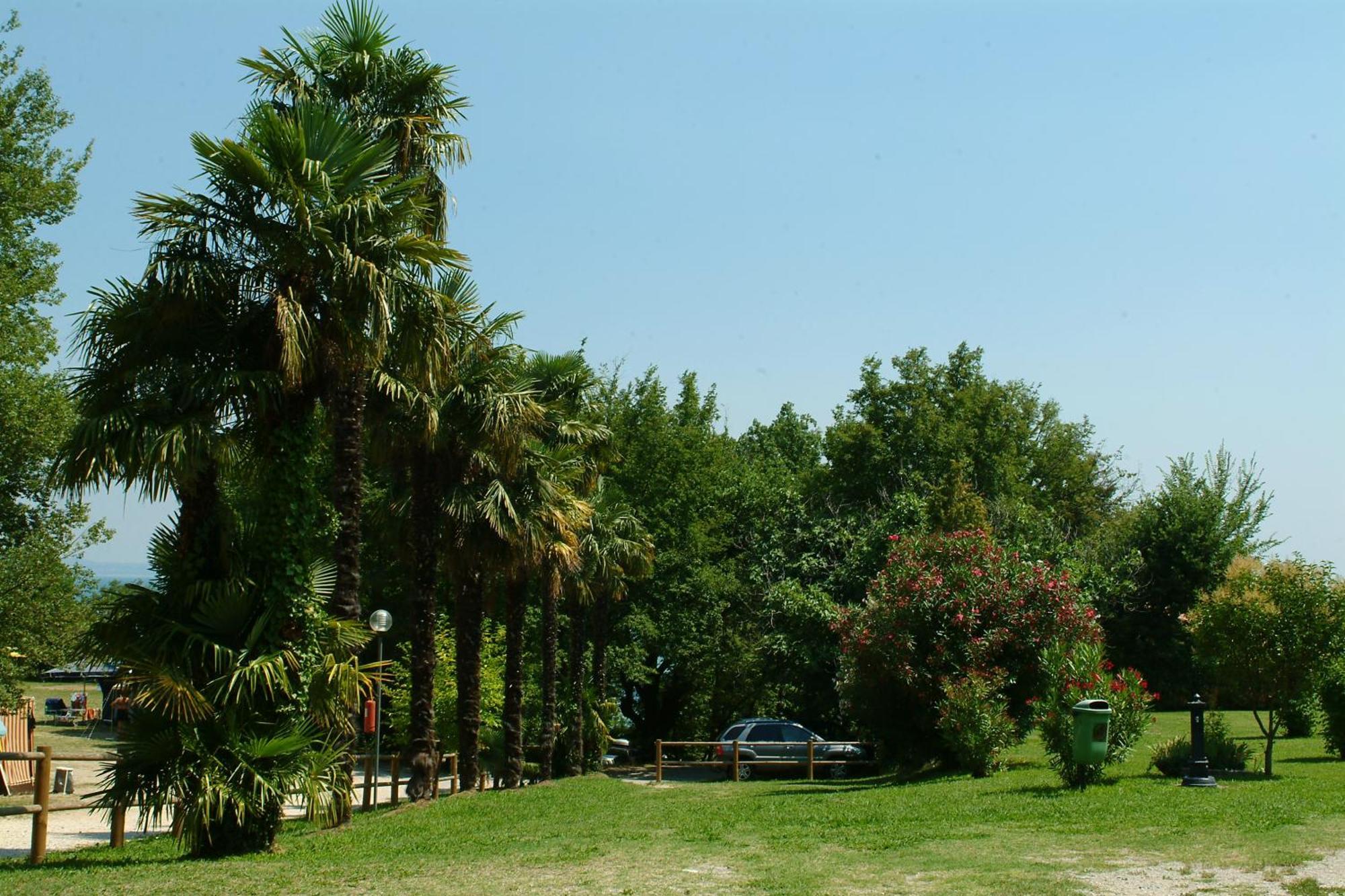 Camping Zocco Manerba del Garda Esterno foto
