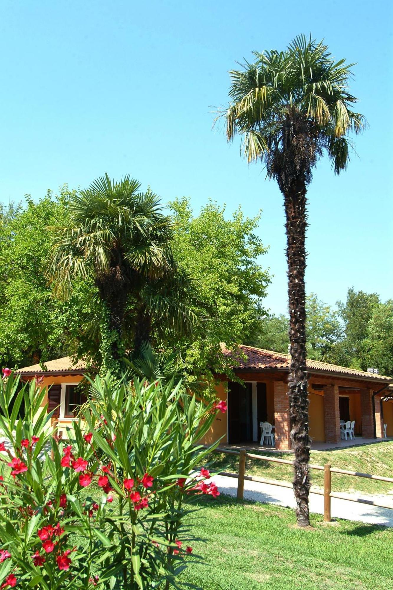 Camping Zocco Manerba del Garda Esterno foto